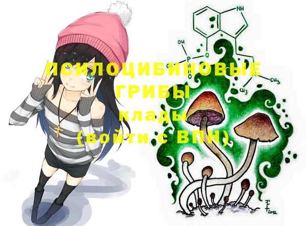 МДПВ Нягань
