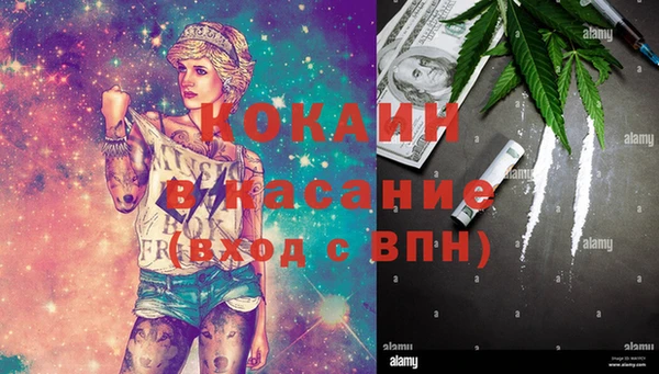 дурь Богородицк